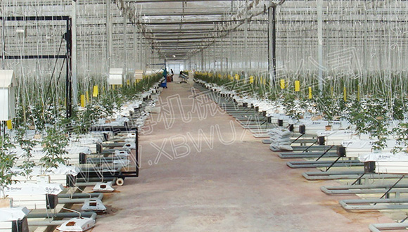 關于種植槽設備的性能優勢解析